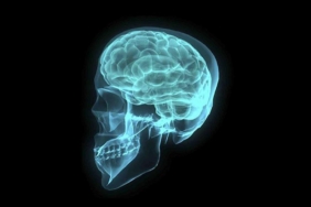 Erkek beyinleri kadın beyinlerinden daha hızlı küçülüyor