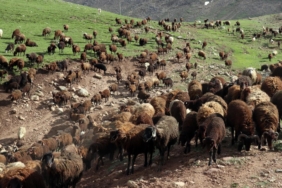 Halk Elinde Islah Projelerine 2,7 milyar lira destek sağlandı