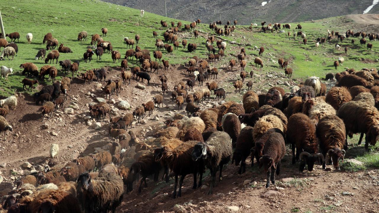 Halk Elinde Islah Projelerine 2,7 milyar lira destek sağlandı