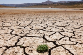 İklimde kritik dönemeç: 20232025 dönemi 1,5 derece eşiğini aşacak