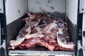 Kırşehir'de 6,1 ton kaçak ve bozulmuş hayvansal ürün ele geçirildi