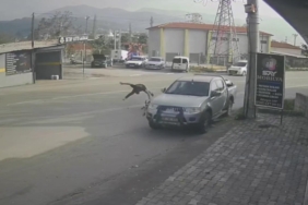 Otomobille çarpışan motosikletli, metrelerce savruldu