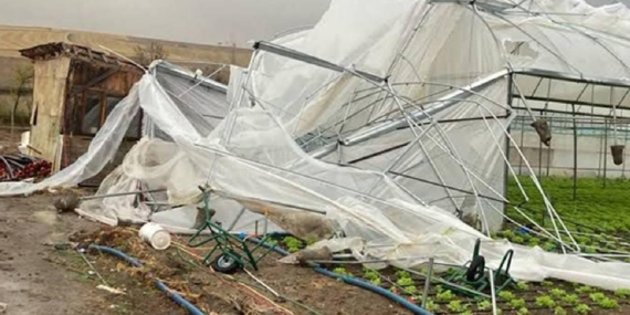 Tarım sigortaları kapsamında üreticilere 4,2 milyar lira hasar tazminatı ödendi