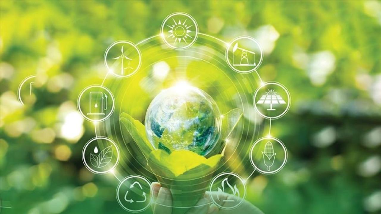 Türk enerji sektöründe yeşil ve dijital becerilerin geliştirilmesi için yeni yol haritası