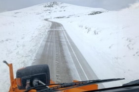 Turuncu kaplanlar kar mesaisinde