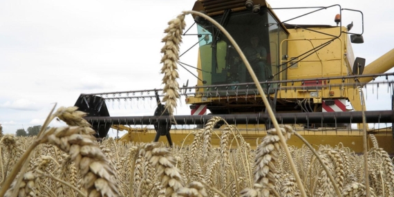 Üreticilere kasımda 376,8 milyon lira destekleme ödemesi yapıldı