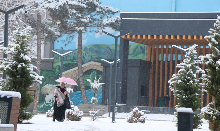 Van'da kar nedeniyle 90 yerleşim yeri ulaşıma kapandı, bir ilçede okullar tatil