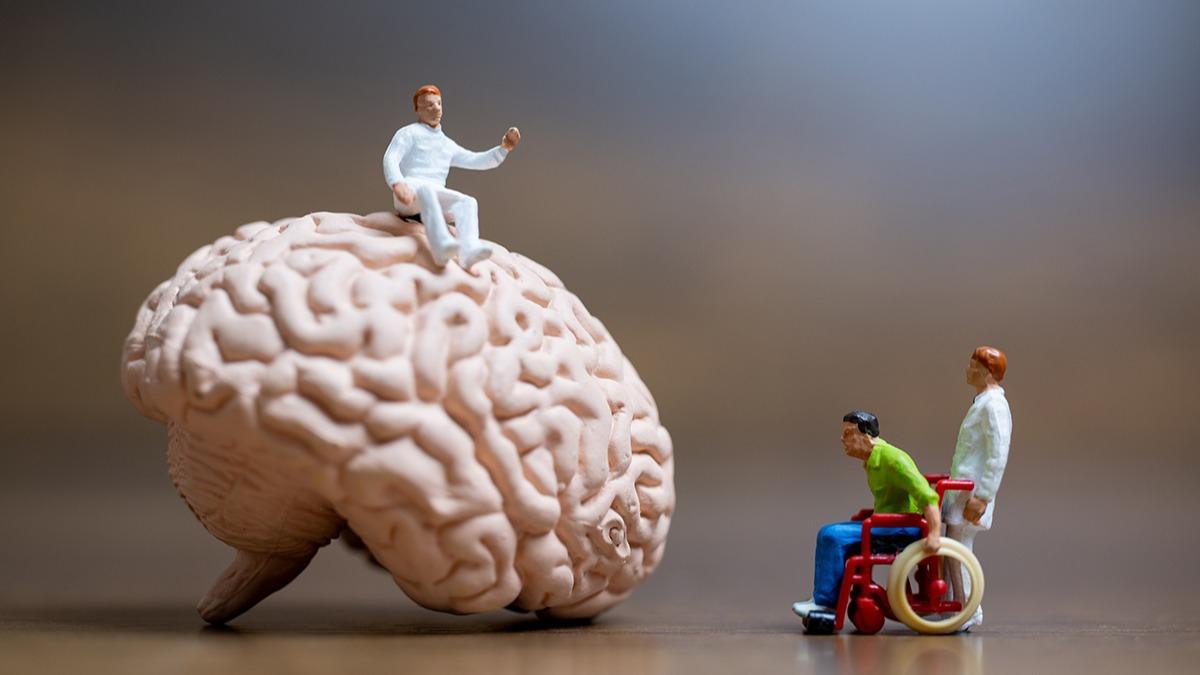 Yaşlanmak korkutucu değil; Bilim insanları beynin en güçlü dönemini buldu