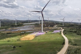 Yenilenebilir Enerji Kaynak Alanları yönetmeliğinde değişik