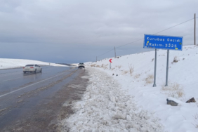 Yoğun kar nedeniyle 22 yol ulaşıma kapandı