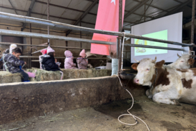 Ardahan'da Minik Çiftçi Akademisi: Anaokulu öğrencilerine hayvancılık ve tarım öğretiliyor