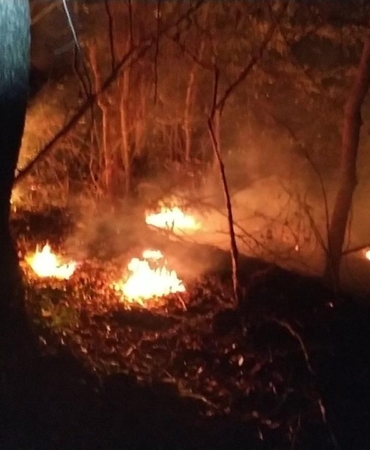 Avustralya'da süren orman yangınlarından etkilenen 1100 kişiden bölgeyi tahliye etmeleri istendi