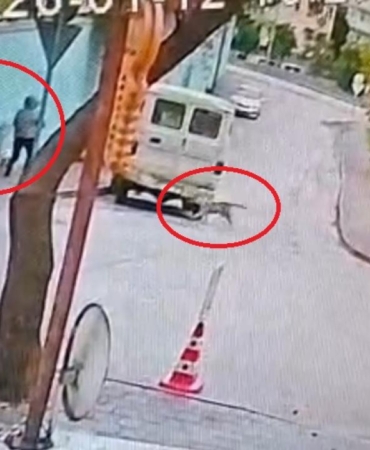 Başıboş sokak köpekleri köpeğiyle yürüyen kadına saldırdı