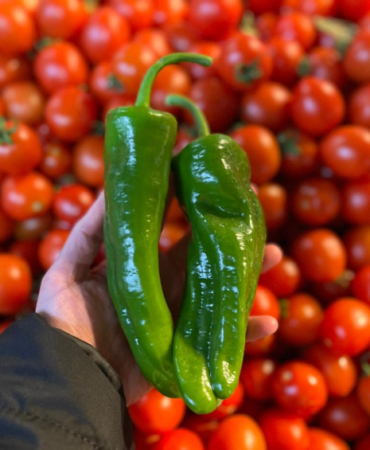 Batı Akdeniz'in ihracat şampiyonu biber oldu