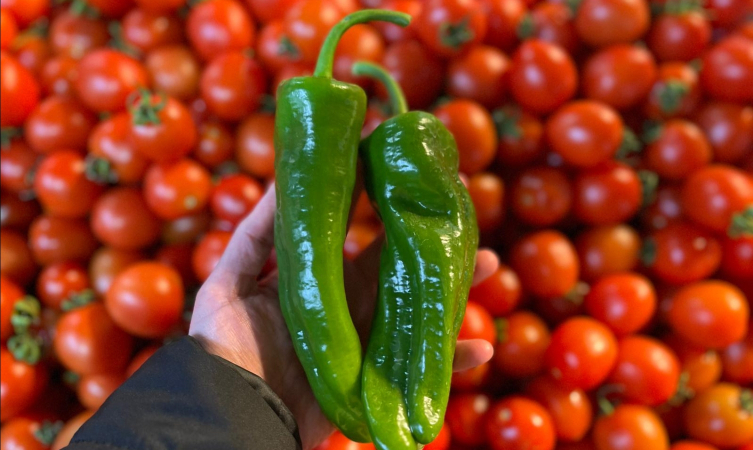 Batı Akdeniz'in ihracat şampiyonu biber oldu