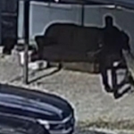 Beslediği köpek saldırdı