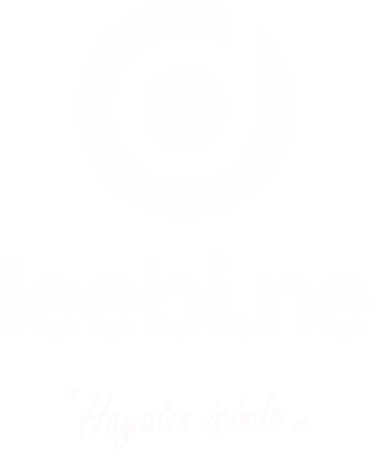deebinet_Logo-512x512