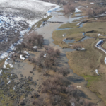 Diyarbakır'da kaybolan kadını arama çalışmaları sürüyor