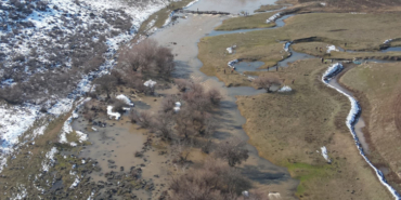 Diyarbakır'da kaybolan kadını arama çalışmaları sürüyor