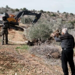 Filistin: İsrail geçen yıl Batı Şeria'da 685 çevre ihlali gerçekleştirdi