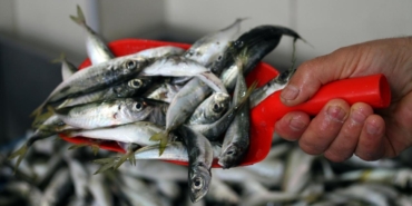 Fiyatı en fazla artan ve düşen ürünler belli oldu