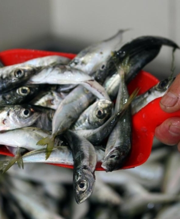 Fiyatı en fazla artan ve düşen ürünler belli oldu