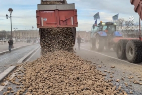 Fransız çiftçiler, Ulusal Meclis'in önüne 30 ton patates döktü