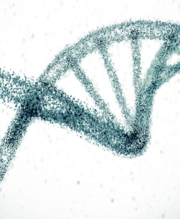 Genetik faktörlerin yaşam süresi üzerindeki etkisi tahminlerin üzerinde