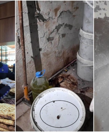 Hatay'da mide bulandıran manzara: Fareyi geçtim, yılan çıkacak diye korkuyorum