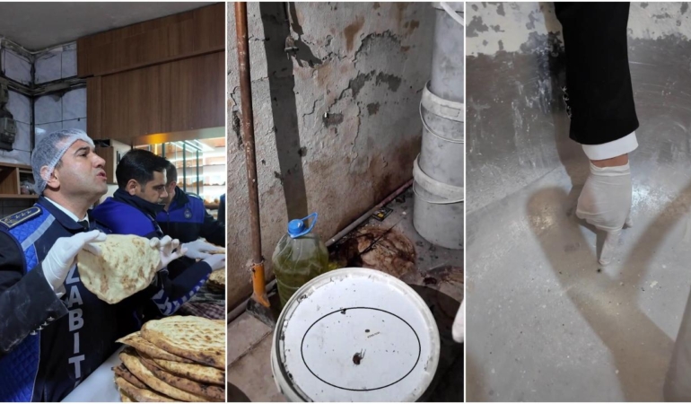 Hatay'da mide bulandıran manzara: Fareyi geçtim, yılan çıkacak diye korkuyorum