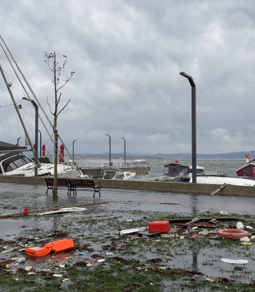 İstanbul'da fırtına: 45 ağaç devrildi, 89 çatı uçtu