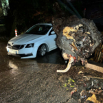 İzmir'i sağanak vurdu: Caddeler göle döndü