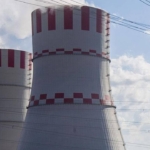 Japonya, dünyanın en büyük nükleer santralinde başlattığı faaliyeti bir gün sonra durdurdu