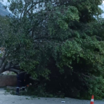 Kaşta fırtına: Ağaçlar söküldü, elektrik direkleri devrildi