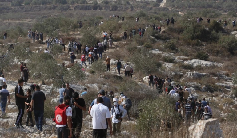Katil İsrail, işgal altındaki Batı Şeria'da Filistinlilere ait 694 dönüm araziye el koydu