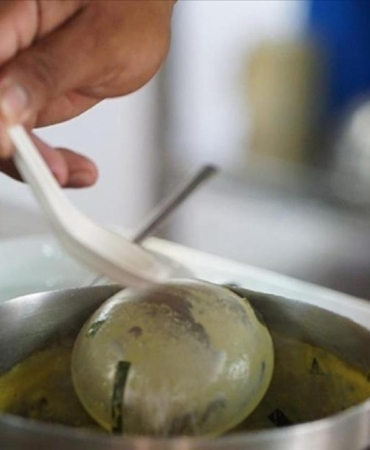 Kontrolsüz toplanan bitkiler ve sağlıksız toplu yemekler zehirlenme riskini artırıyor