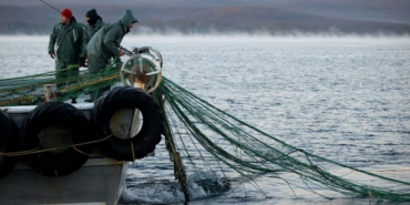 Küçük ölçekli balıkçı destekleri için başvurular başladı