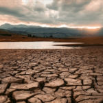 Küresel ısınma hızlanıyor: 2025, kayıtlardaki en sıcak 3 yıldan biri oldu