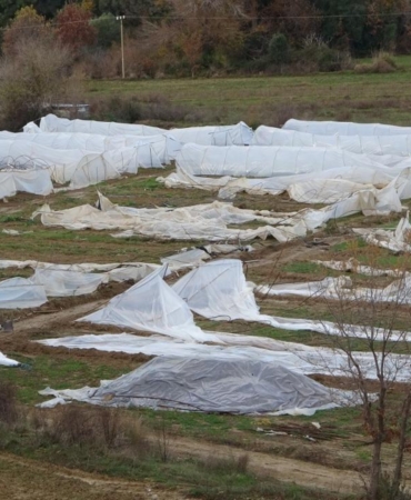 Manavgat'ta hortum 14 serayı kullanılamaz hale getirdi