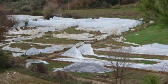 Manavgat'ta hortum 14 serayı kullanılamaz hale getirdi