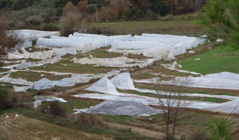 Manavgat'ta hortum 14 serayı kullanılamaz hale getirdi