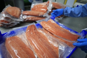 Su ürünleri ve hayvansal mamullerde ihracat çıtası yükseliyor