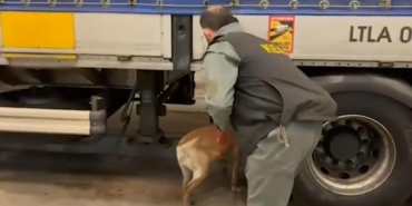 75 ilde narkotik operasyonu: 958 kilo uyuşturucu ele geçirildi