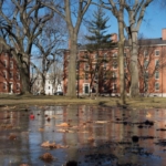 ABD'de federal hükümet, öğrenci kabul süreçlerindeki verileri paylaşmadığı gerekçesiyle Harvard'a dava açtı