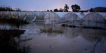 Antalya'da hortum seraları uçurdu, sel yolları kapattı