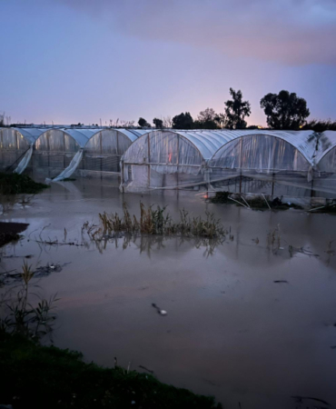 Antalya'da hortum seraları uçurdu, sel yolları kapattı