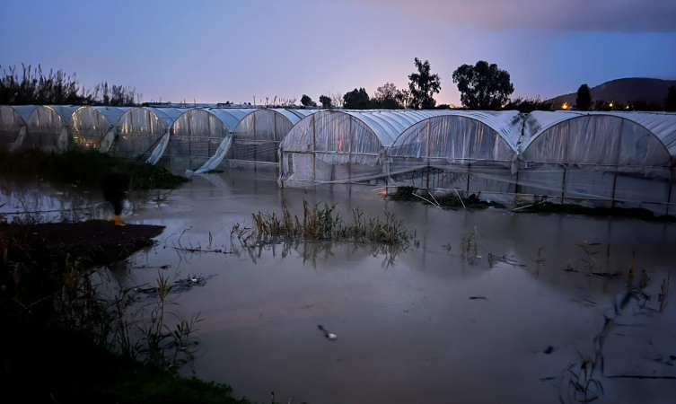 Antalya'da hortum seraları uçurdu, sel yolları kapattı