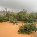 Antalya'da sağanak: Evler ve bahçeler su altına kaldı