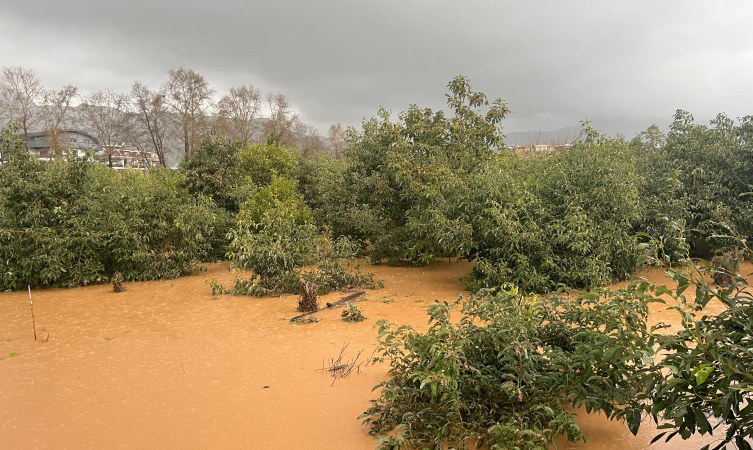 Antalya'da sağanak: Evler ve bahçeler su altına kaldı
