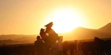Atlar aynı anda hem kişneyip hem ıslık çalıyor